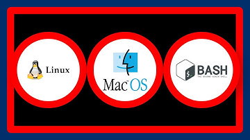 How do I get ls --color=auto to work on Mac OS X?