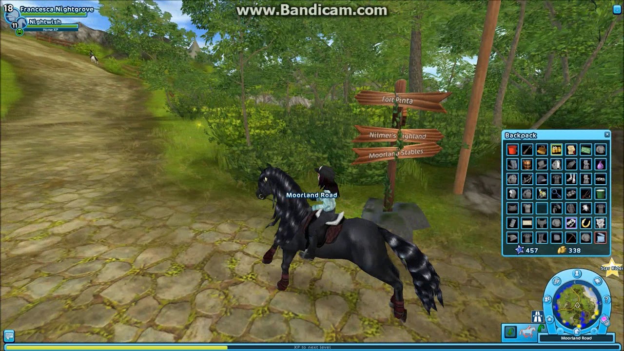 Golden Horseshoes In Moorland!! // Star Stable Online