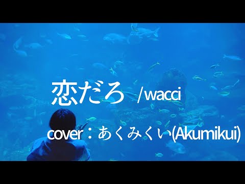 【声小さめ】イヤホン推奨【恋だろ/wacci】あくみくい(Akumikui)歌ってみた。