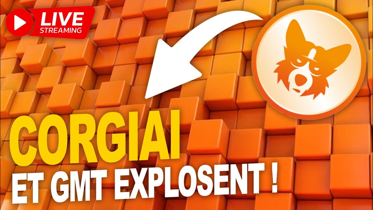 Crypto CORGIAI (memecoin) et GMT (Stepn) explosent ! LIVE