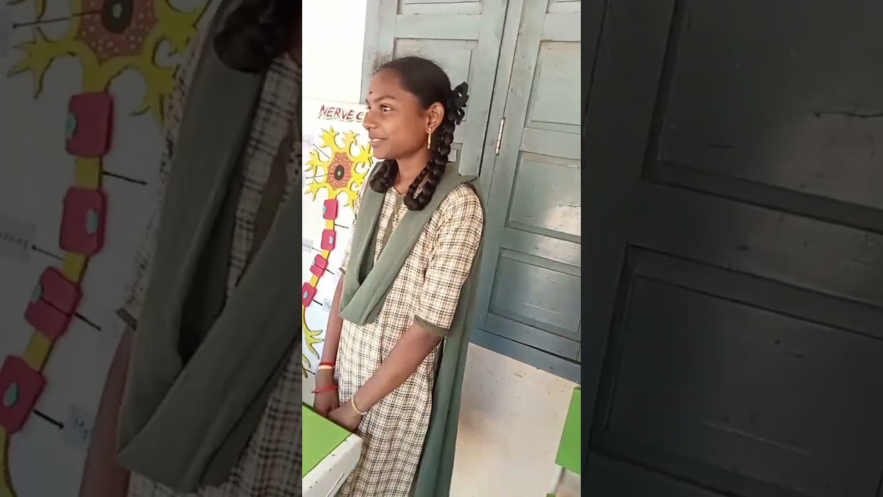 సైన్స్ డే సెలెబ్రేషన్స్ ఇన్ మై స్కూల్ 😍😍😍😍😍😍