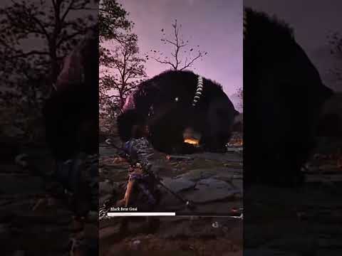🐻🔥 BLACK BEAR GUAI FINAL FIGHT!