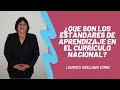 ¿Que son los estándares de aprendizaje en el Currículo Nacional?