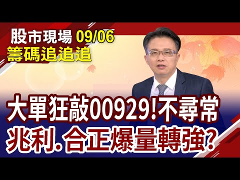 兆利.合正惦惦吃三碗公!14筆499大單敲進00929!驅動IC動起來 金居.頎邦獲寵愛!｜20230906(第8/8段)股市現場*鄭明娟(林聖傑×許博傑×游庭皓)