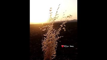 نور مابين الجمعتين |سورة الكهف|حالات واتس ❤