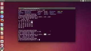 Linux Command Line Tutorial For Beginners 33   How to Run multiple Terminal Commands