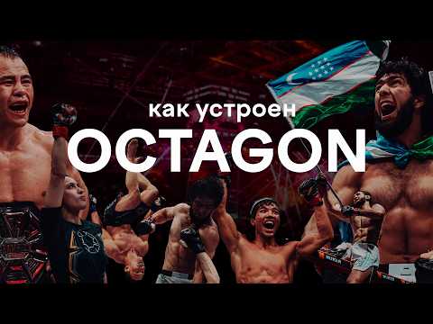 Inside the Octagon: How the MMA league works, how much fighters earn, and why it's more than just...