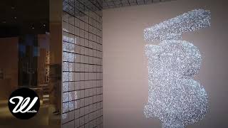 Celebrity Burberry Interactive Artistic Window Display Profile