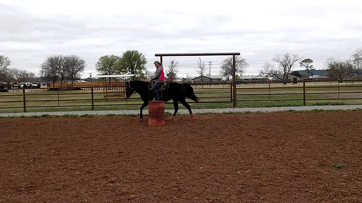 Traci Roy on Fun E.