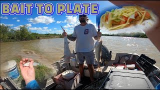 RUN OFF Fishing Norman River, Karumba Queensland Episode 5 - BAIT TO PLATE