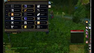 Solace Bug