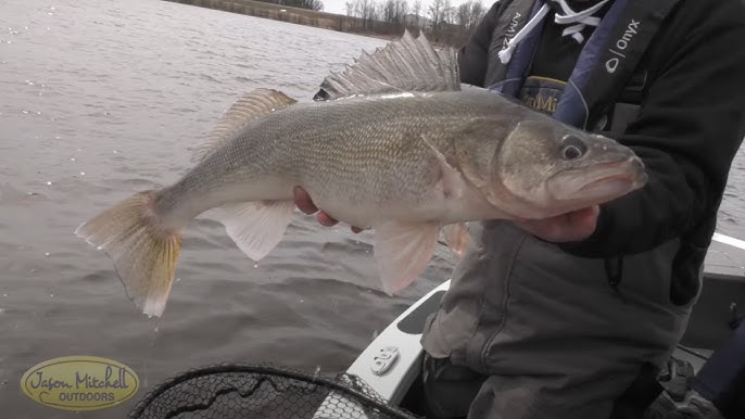 Walleye Fishing on the Rainy River ⋆ Wheezy Outdoors
