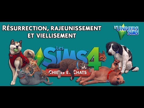 Résurection Rajeunissement Et Vieillissement Des Animaux Sims 4 Chiens Et Chats