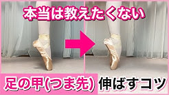 松浦景子の けっけちゃんねる