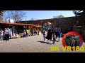 WALKING FROM CORVIN CASTLE through the markets and into the town ROMANIA 8K 4K VR180 3D Travel Video