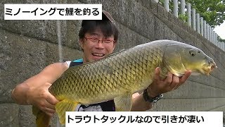 No 8 多摩川　鯉　ミノーイング