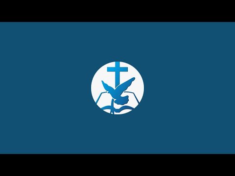Previzualizare video
