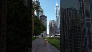 Dubai Marina - Media City FPV Fast Walking Tour #dubai #fpv دبي مارينا - المدينة الإعلامية