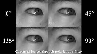 Screen corner detection using polarization camera for cross-ratio based gaze estimation