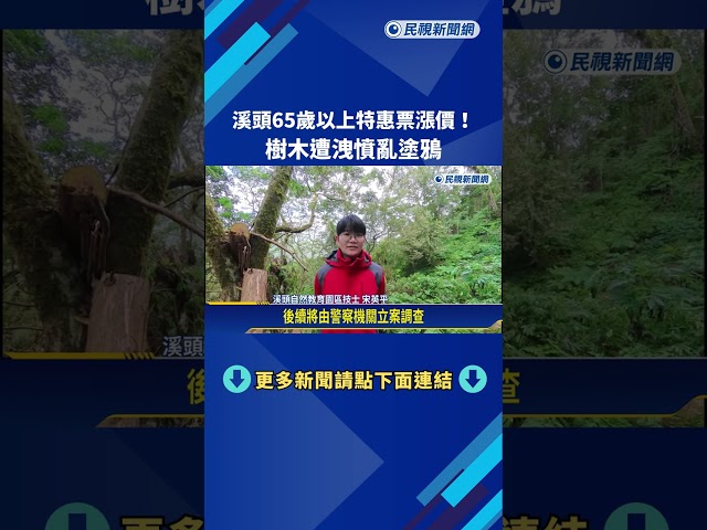 溪頭65歲以上特惠票漲價! 樹木遭洩憤亂塗鴉－民視新聞