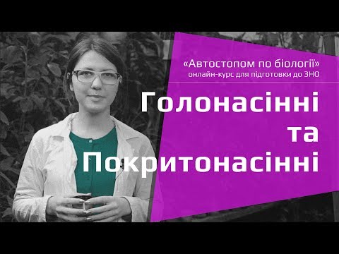 Голонасінні та Покритонасінні – Підготовка до ЗНО – Біологія