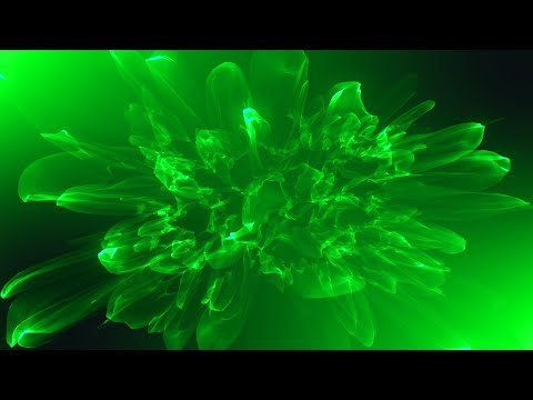 How to Animate Tutorial: Abstract Flower Blooming Background Trapcode Mir 3 ❤ After Effects Tutorial