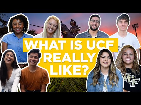 فيديو: ما هو UCF Knightline؟