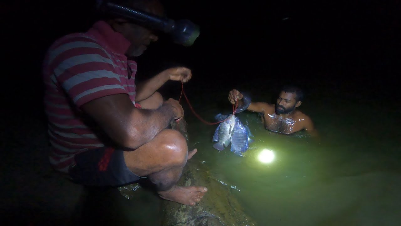 ගල් අස්සේ මාළු දඩයම 🙆 🌙 @IslandFishing2  වැව් මාළු එක්ක පාන් 😍 වාඩි ජිවිතේ