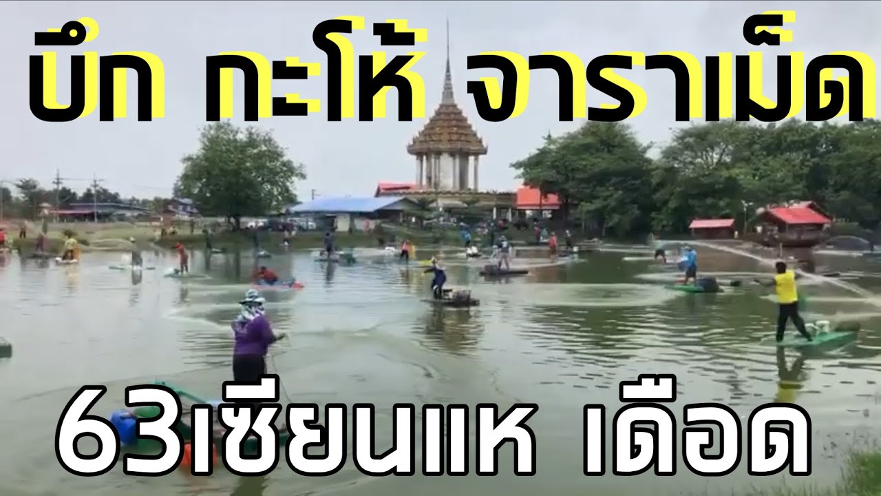 7 มีนาคม 2569 เดือด บึก กะโห้ จาราเม็ด บิกหวาย นิลโบราณ เพียน ชะโด บัตร1500/63เซียน ลุ้นเทคแรกกัน