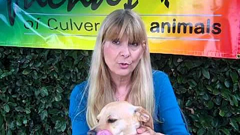 Deborah Weinrauch and Friends of CC Animals