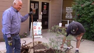 ACLP Planting & Tree Staking Demo