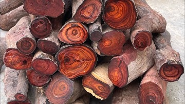 GL 27kg rễ trắc dây krôngpa cực đẹp bác nào thiện chí lh033.891.8991 TGQ