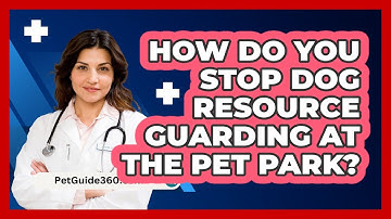 How Do You Stop Dog Resource Guarding At The Pet Park? - PetGuide360.com