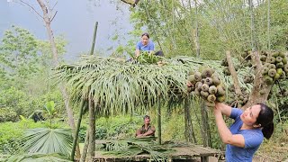 The girl and the old man completed the bamboo house - went to the forest to get fruit and fell by Lý Thị Chanh 6,802 views 1 month ago 32 minutes