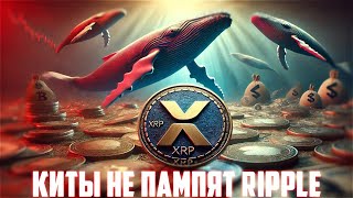 Xrp Не Хочет Расти Против Всего Рынка Крипты Сеть Ripple Никогда Не Сломается Прогноз Рипл 2025