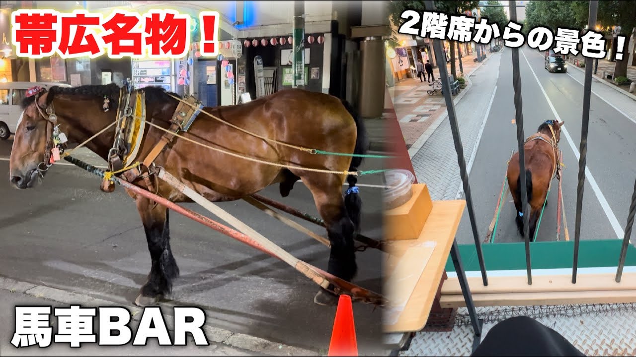 世界初！馬車でお酒を飲めちゃいます。帯広名物「馬車BAR」に乗ったら心癒されました。