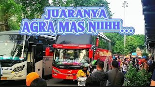 BUS YANG PALING BANYAK MASUK TERMINAL GROGOL. #bus #busmania #buspariwisata #busindonesia #busakap