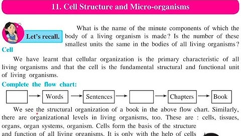 Chapter 11 cell structure and micro-organisms|| Part 1||  Class 7 || Maharashtra board ||