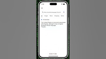 AI legt dingen verkeerd uit - 🔥-7 Wat is de officiële taal van de VS?