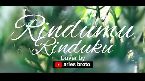 RINDUMU RINDUKU Broery Marantika Cover By Aries Broto