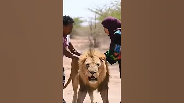 Xaliimo Gesiyad Ah Libax Kobteda Lama Gashan Karo 