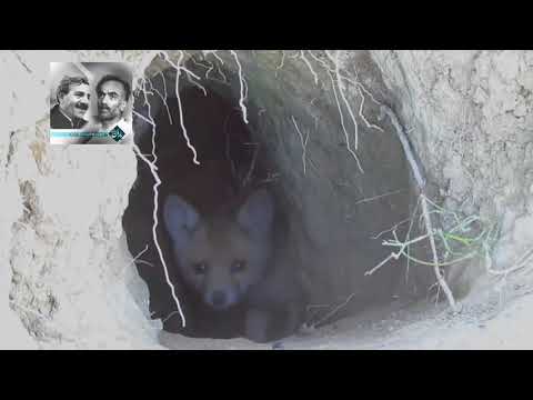 بیلال کەیوانی یا ارحم الراحمین 