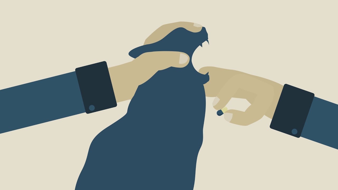 Vet-Recommended Tips For Giving Your Pet’s Medication