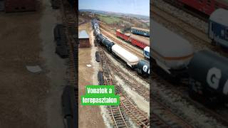 Vonatok a terepasztalon #h0scale #train #modelling #railway #shortvideo #railroad #acme #piko #roco