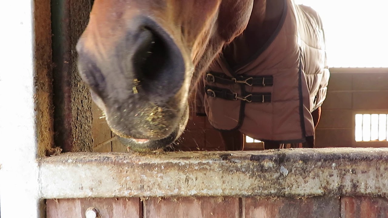 ゆっきーと あい まい みぃ 年2月に作成された記事