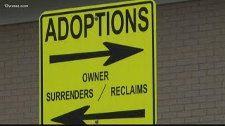 Bibb County Sheriff's Office to head animal welfare