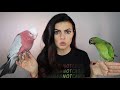 How To Get Two Birds To Get Along | PARROT TALK | MARLENE MC'COHEN