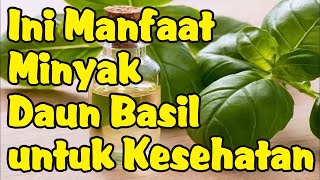 Manfaat Minyak Daun Basil untuk Kesehatan