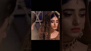 Happy Ending Rang Mahal