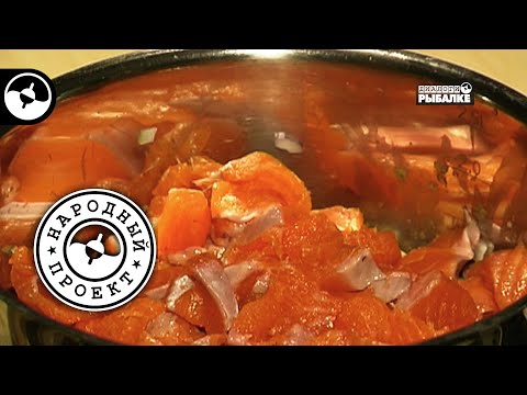 Вкусное блюдо из свежей рыбы | Народный проект